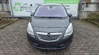 skadebil auto Opel Meriva 1.4 Turbo 16V LPG ecoFLEX MPV   1.364cc 88kW (120pk) FWD 2011-06/2013-10  A14NEL 2012/1