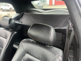 Volkswagen Golf CABR. 66 KW AUT E2 picture 10