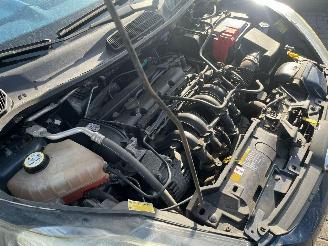 Ford Fiesta 1.25 16V Hatchback  Benzine 1.242cc 44kW (60pk) FWD 2008-06/2017-04  STJA picture 28