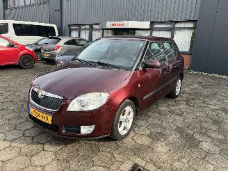  Skoda Fabia 1.2 12V Go 2010/1