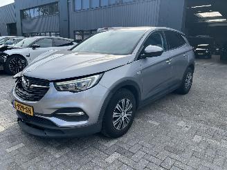 Avarii autoturisme Opel Grandland X 1.2 Turbo Edition 2019/7