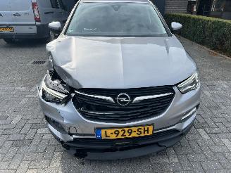 Opel Grandland X 1.2 Turbo Edition picture 8