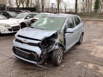Salvage car Kia Picanto Picanto (JA), Hatchback, 2017 1.0 12V 2017/7
