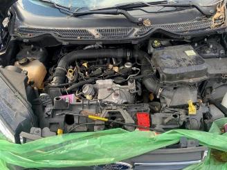 Ford EcoSport EcoSport (JK8), SUV, 2013 1.0 EcoBoost 12V 125 picture 10