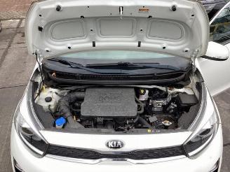 Kia Picanto Picanto (JA), Hatchback, 2017 1.0 12V picture 10