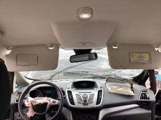 Ford C-Max C-Max (DXA), MPV, 2010 / 2019 1.0 Ti-VCT EcoBoost 12V 100 picture 15