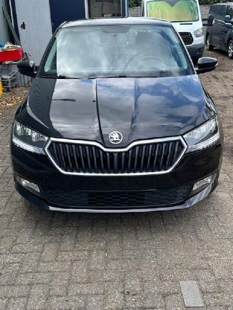  Skoda Fabia  2019/1