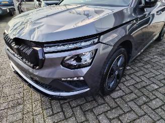 Skoda Kamiq Monte Carlo DSG Pano Matrix Camera Vol picture 6