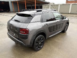 Citroën C4 cactus AUTO picture 5