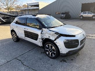 Citroën C4 cactus  picture 2