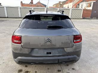 Citroën C4 cactus AUTOMATIC picture 21