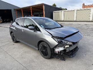 Auto incidentate Nissan Leaf  2022/4