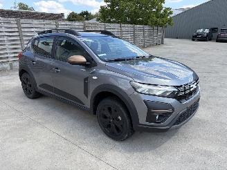 Avarii autoturisme Dacia Sandero 1.0i - 12V TURBO TCE 90 2025/10