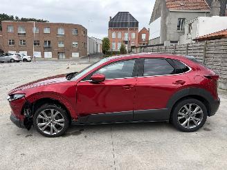 Mazda CX-30 1 2.0i - 16V TURBO HYBRID picture 22
