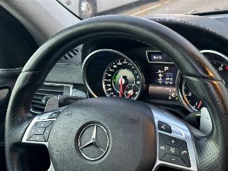 Mercedes GLS  picture 9