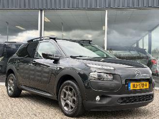 Avarii autoturisme Citroën C4 cactus 1.2 PureTech Shine 2015/11