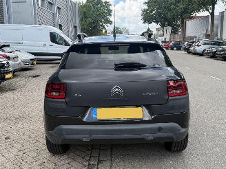 Citroën C4 cactus 1.2 AUTOMAAT/GLASDAK picture 5