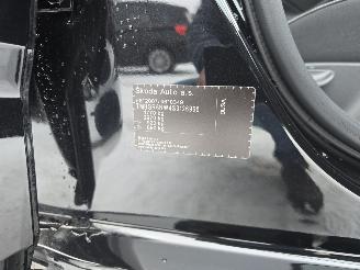 Skoda Kamiq MONTE CARLO picture 26