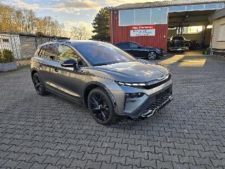 Auto incidentate Skoda Enyaq  2025/10