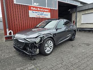 Audi Q8 E-TRON 114 kW aH picture 15