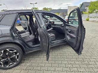 Cupra Terramar Hybride picture 7