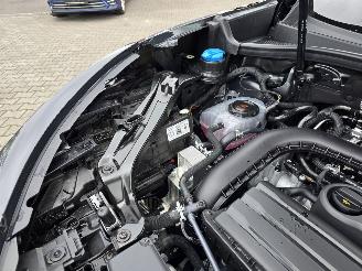 Cupra Terramar Hybride picture 20