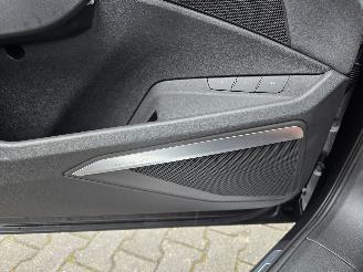 Audi SQ8  picture 15