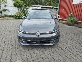 Volkswagen Golf ETSI Hybrid EDITION 50 picture 12