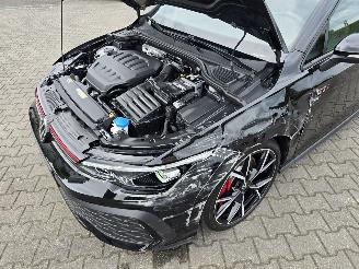 Volkswagen Golf Gti 195 kW Panorama IQ picture 8