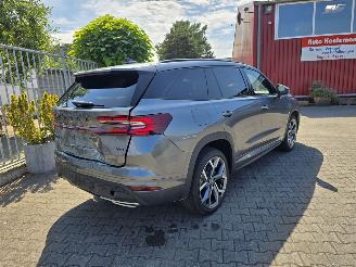 Skoda Kodiaq Sportline TDi 4X4 142 kW picture 2