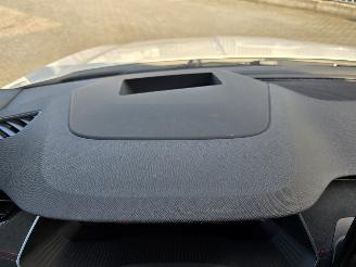 Skoda Octavia RS 195 kW picture 32