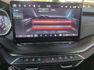 Skoda Octavia RS 195 kW picture 30