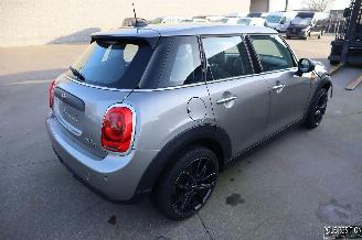 Mini One 1.5D picture 4