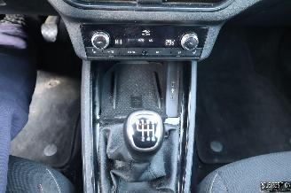 Skoda Kamiq 1.0 BENZ picture 13