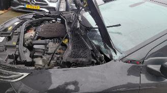 Citroën C4 cactus 1.2i  shine pano   navi picture 6