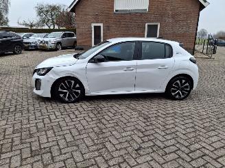 Peugeot e-208 136pk   navi    50kwh picture 2
