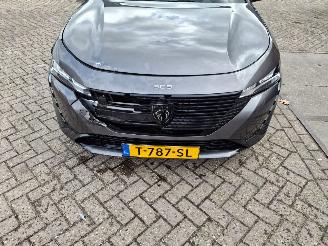 Peugeot 308 1.2 96kw active  navi  clima picture 8