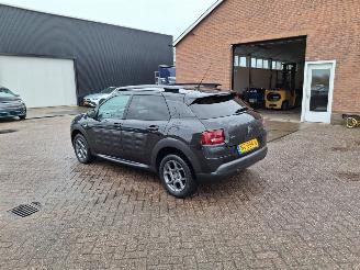 uszkodzony samochody osobowe Citroën C4 cactus 1.2  naci clima lmv   shine uitvoering 2017/1