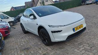 Vaurioauto  passenger cars Tesla Model Y 256pk  pano 2025/9