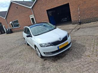 Damaged car Skoda Rapid 1.0 tsi  70kw  pano   clima 2018/7