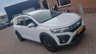 uszkodzony samochody osobowe Dacia Jogger 1.0 tce  110pk navi 7 zitter 2024/8