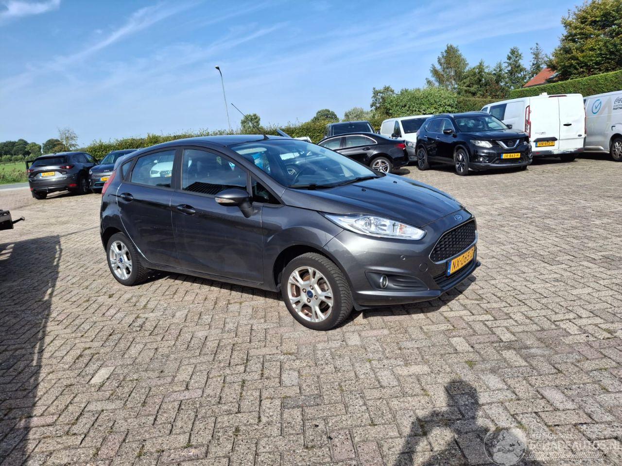 Ford Fiesta 1.0 i  80pk  ultimate 5drs