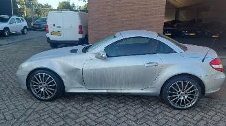 Mercedes SLK 200k automaat  163pk clima picture 5