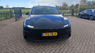 Tesla Model Y 256pk     58kwh navi leer   clima picture 3