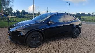 Tesla Model Y 256pk     58kwh navi leer   clima picture 4