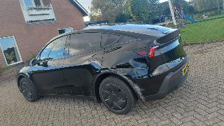 Tesla Model Y 256pk     58kwh navi leer   clima picture 11
