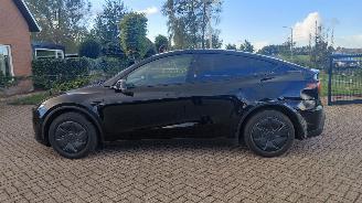 Tesla Model Y 256pk     58kwh navi leer   clima picture 10