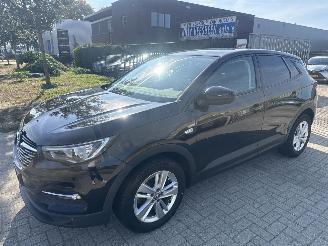 Opel Grandland 1.2 TURBO GRANDLAND X EXECUTIVE BOUWJAAR 2018 8250 EURO 2018/5