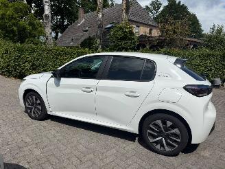 Peugeot 208 1.2 HYBRID 110 E STYLE picture 12
