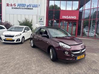 Coche siniestrado Opel Adam Adam, Hatchback 3-drs, 2012 / 2019 1.2 16V 2018/3